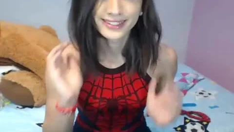 SpiderTrans