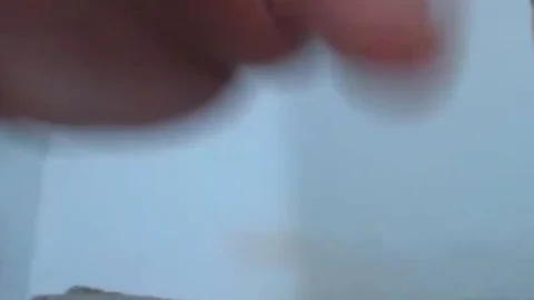 wild sheboy duo plowing Each Other