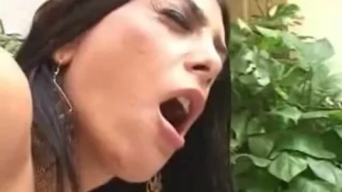 she Brasil Or Male oriental-she-Male