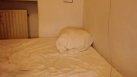 dirty sheboy fake penis !!!