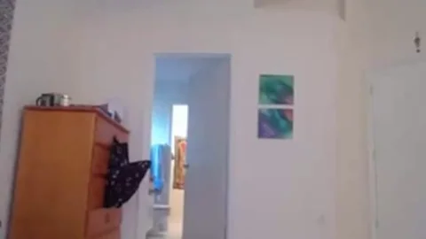 horny Femboy Solo