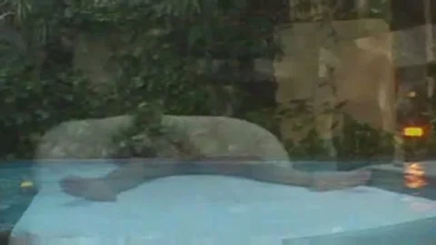 blonde tranny gets plowed Hard By The Pool