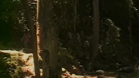 Paula Plays dirty With shemale And boy Outdoor