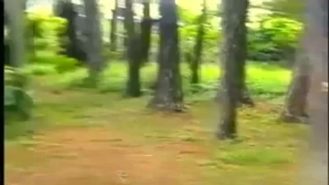 Outdoor rimming & ass plowing