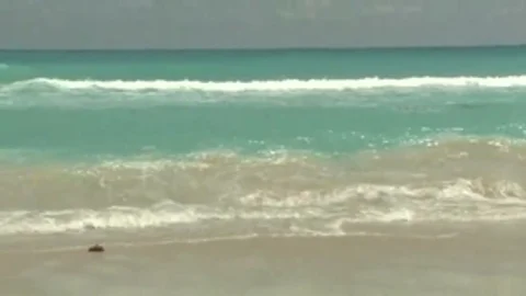 VenyveraS1.mp4