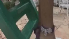 ladyboy babe Paola Lima Masturbating outdoors