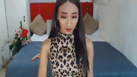 'Skinny oriental ladyboy excellent Camshow'