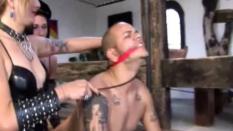 TrannyBin Three dom t-girls fuck guy's a-hole