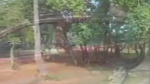 pretty Ladyboys Sucks And bonks outside
