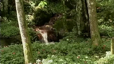 attractive tgirl With banging booty Gives oral outdoors Then bonks