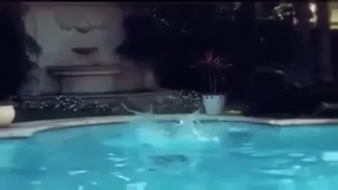 ebony fellow Bonks blonde TS By Pool