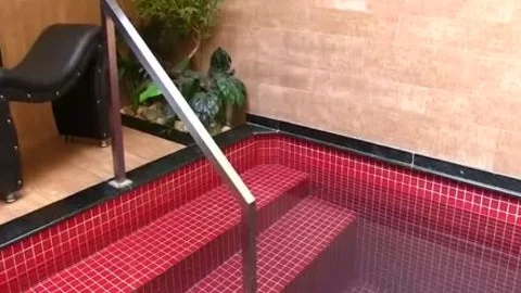 ladyboy Larissa Albuquerque fake penis Action