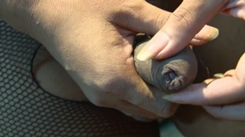 third world media movies: Oiled Up For Some Naughty Fun