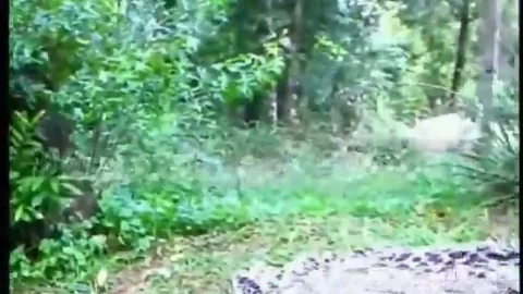 Outdoor Sex For busty Sthis guymale