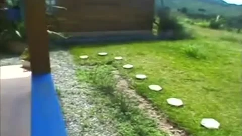 Brasilians trannies slam (135)