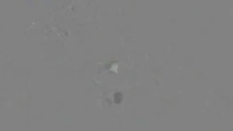 Sex Machine End Nikkijadetaylor sperm