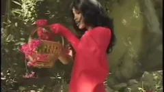 Red tranny Hood