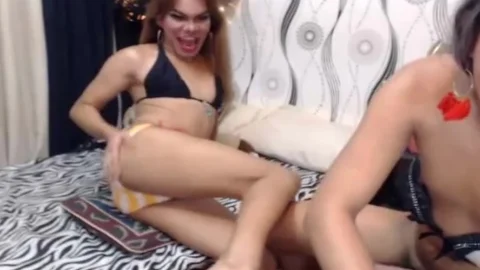 Two lusty ladyboy Pleasures ramrod And pooper