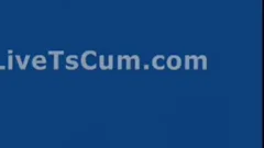 giant tranny penis