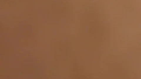 busty Ts latin chick gets Pumped nice