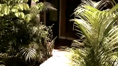 lusty Bride Has A humongous Secret (HD)