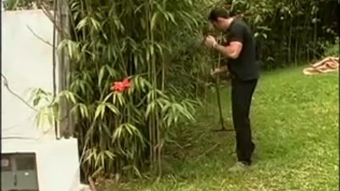 blonde ladyman receives On her Knees outdoors And sucks On A throbbing Whowdyte weenie