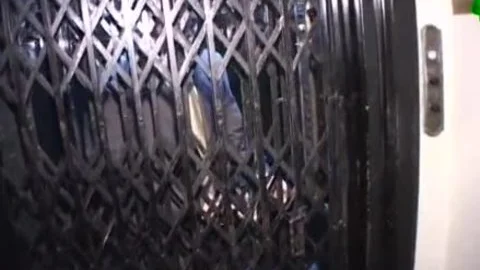 MegaCock Mariana butthole slams A pair Of teens