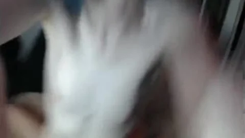 stunning Blue Hair Trap ass pound With Her Boyfriend