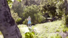 Transfixed: Explicit Stroll with Stuffed Rabbits