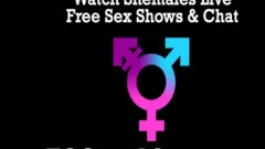 Damn tasty Sissy lady-man Dildoing On webcam Part 1
