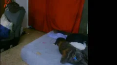 On Chaturbate Teasing