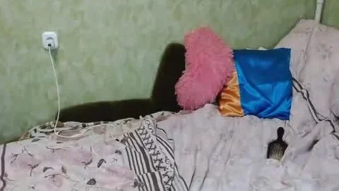 Liliwok Live tranny