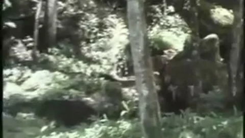 tranny enjoying A Great Outdoor fuck