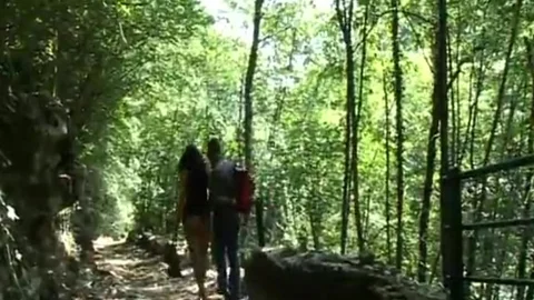 tgirl banging Outdoor - Telsev