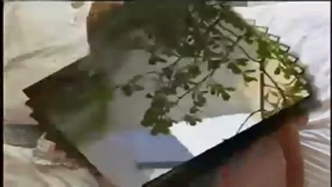 skankty shemale hammering