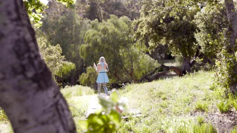 Transfixed: Explicit Stroll with Stuffed Rabbits