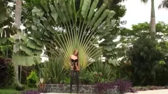 Sofia Obregon group-sex