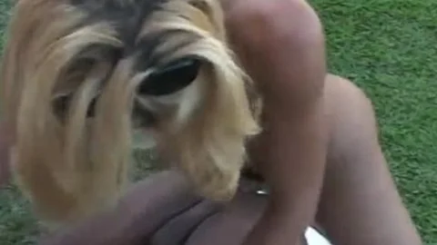 Two homo dudes And ladyboy Lisa Lawer outside plowing Each Others wazoo Holes