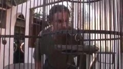 that babe Loses His Bird And Pays The Price