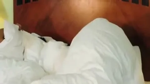 Two lusty asian Ladyboys Like bedroom Sex