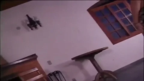 Dancing Ladytwink copulates - Gentledudess movie