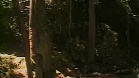 Amanda & Paula - threesome In The Forest