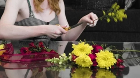 Transfixed: Flower Power with Trannys