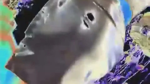 fat guy Bonks diminutive mangos hawttie