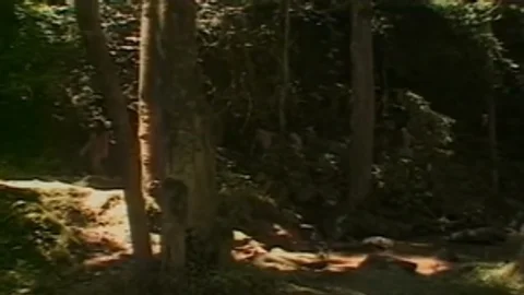 Paula Plays dirty With shemale And boy Outdoor