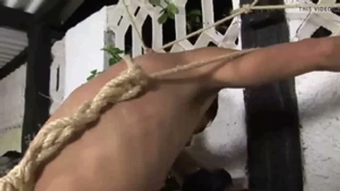 pretty dominantinatrix-bitch pokeing her slave