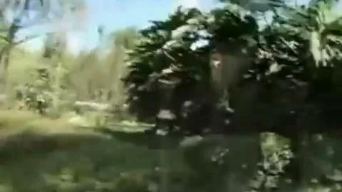 latina Double gazoo screwed