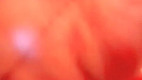 busty blond tranny Sarina Valentina oral enjoyment-stimulation And butthole pounding