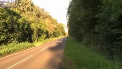 juicy sheboy boned In The Woods