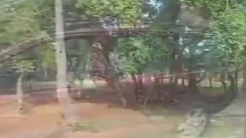 pretty Ladyboys Sucks And bonks outside
